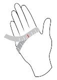 Glove Size Hand Chart
